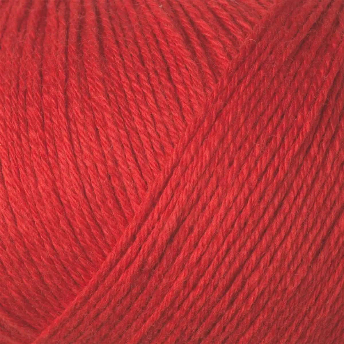 Cotton Merino - Ribs 